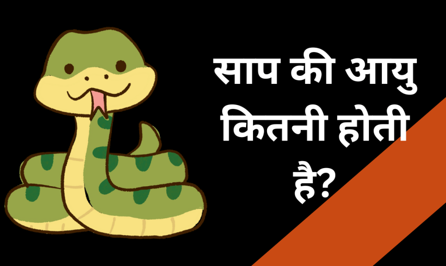 साप की आयु कितनी होती है? | Sarp Ki Umra Kitni Hoti Hai